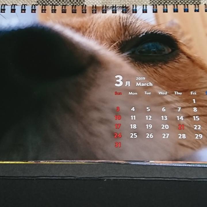 7ee6d62f a915 463c 8dde 05a0925cf702 1551795228504