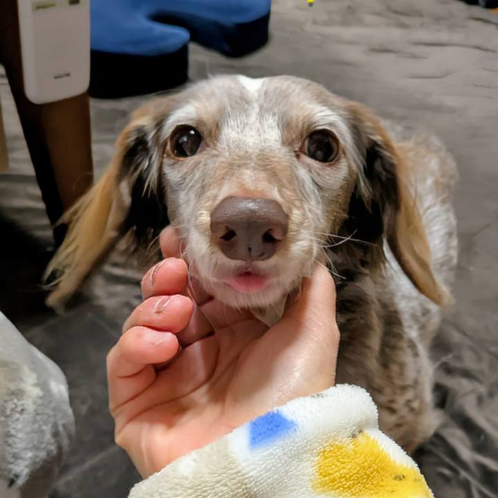 7ee71ce2 2f0b 4cfb b0e4 54ed9fc55c39 1762167381173