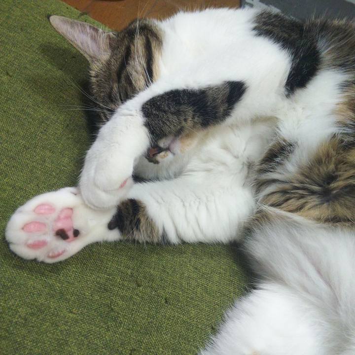 7ee72540 8dbc 45d5 9f0e f51237bd6dd8 1637488116559