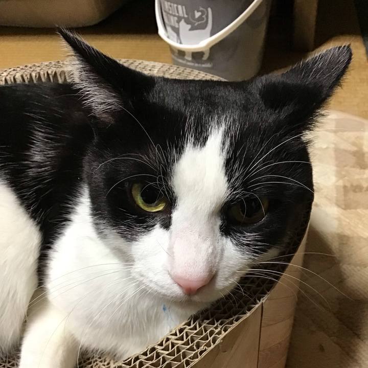 7ee73d45 6696 4987 ad34 245902e7676a 1700393899420