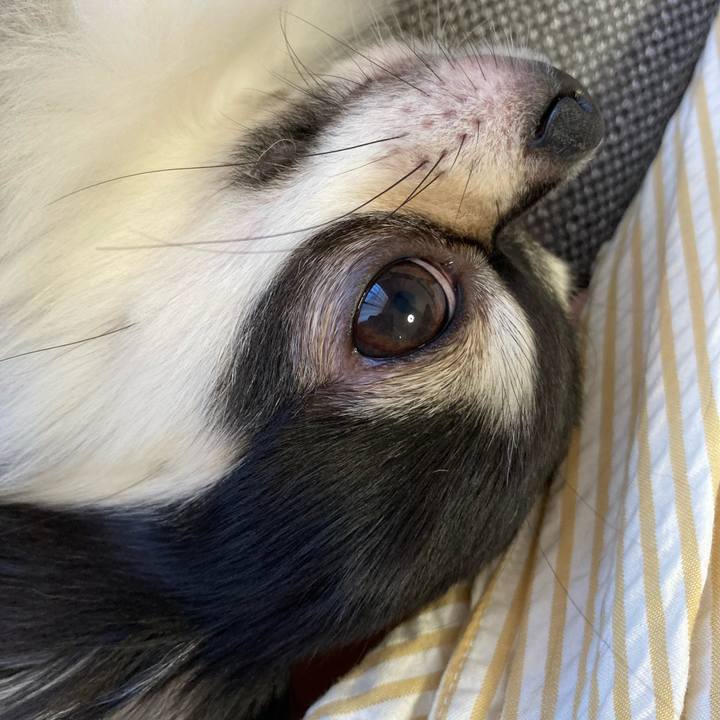 7ee75d82 430b 4f6e b016 0dbdef3899c2 1632145721696