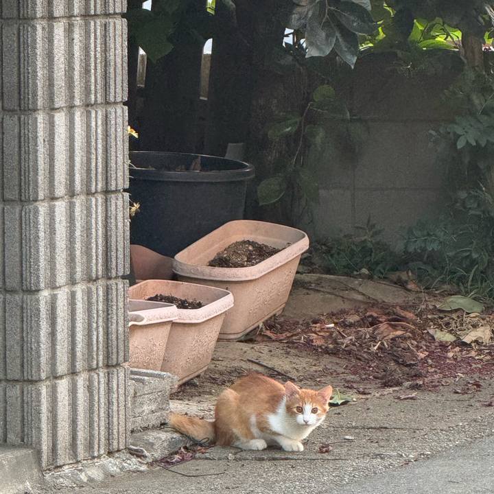 7ee784c8 d1e5 4f09 827b ad305683dd66 1757298658781