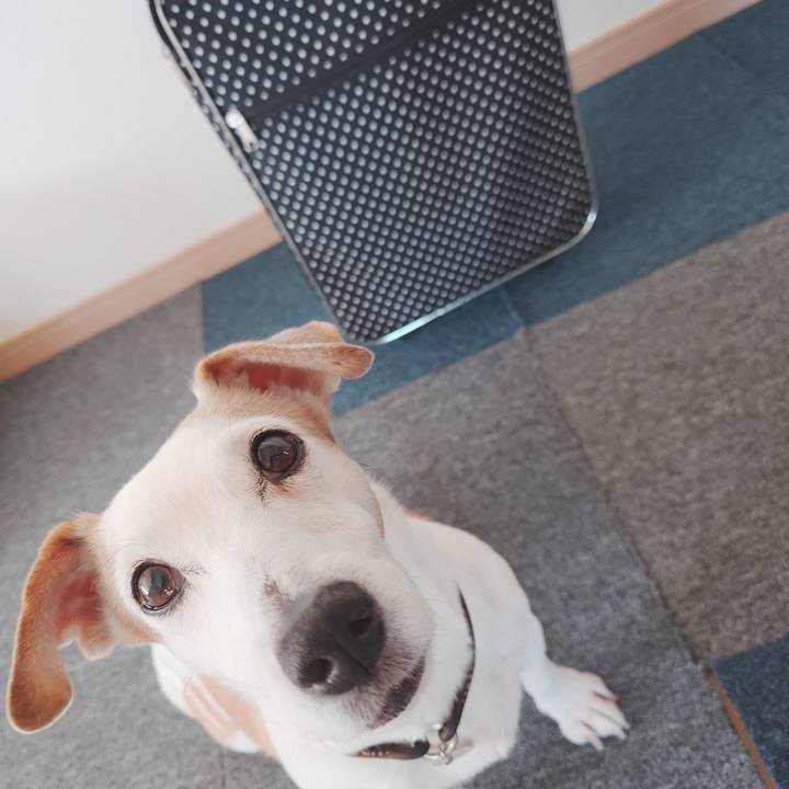 7ee789cc bd75 4d17 983b ee6521feadc4 1762126838186