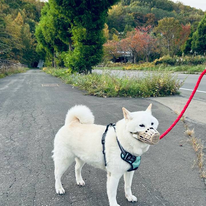 7ee78f40 6205 4f83 9a59 bb029cc33423 1697234313790