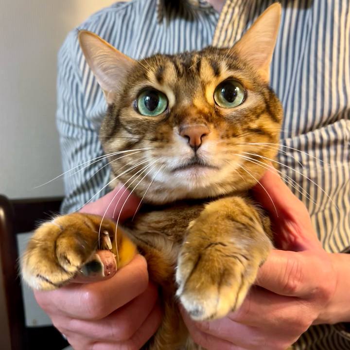 7ee7d9a9 b8b6 48ba 98ba 317b5aac7db6 1650578620855