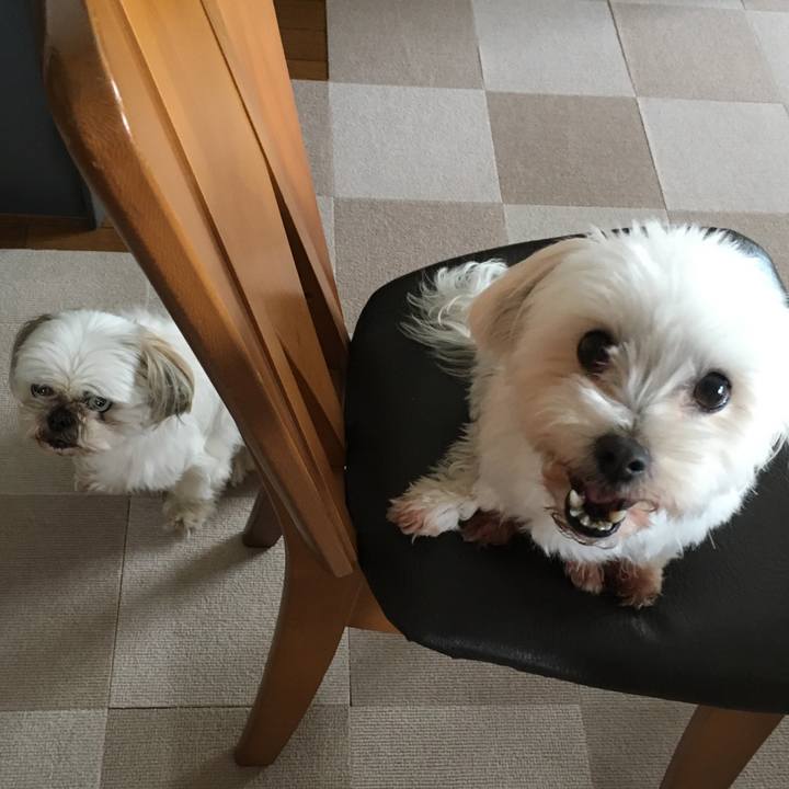 7ee7e5b5 d298 444e 87a1 7a6a63ad723a 1622286757623