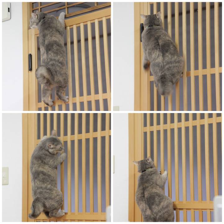 7ee80443 ba84 4c5c ae5a a04fe6a84b2a 1580391809047