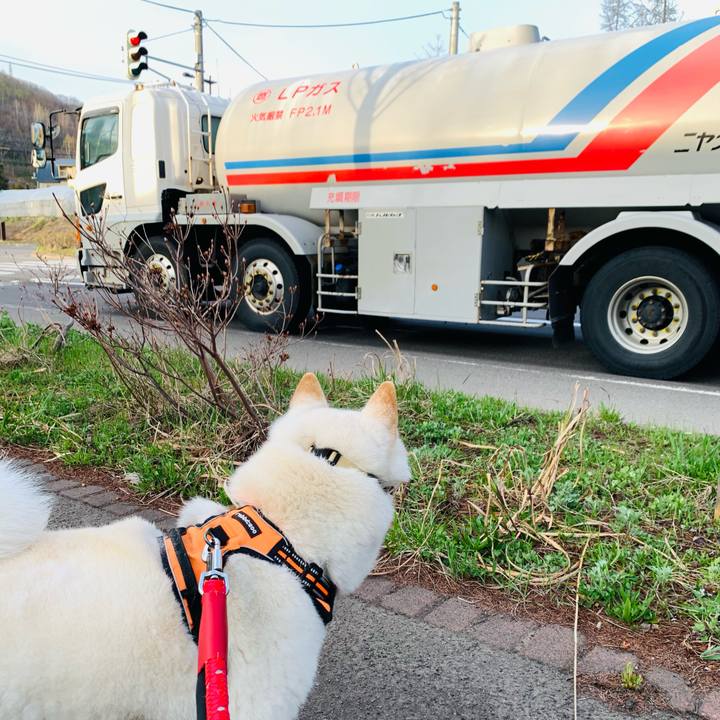 7ee83c36 ae9f 438c 8582 d951e949d4c0 1650838552473