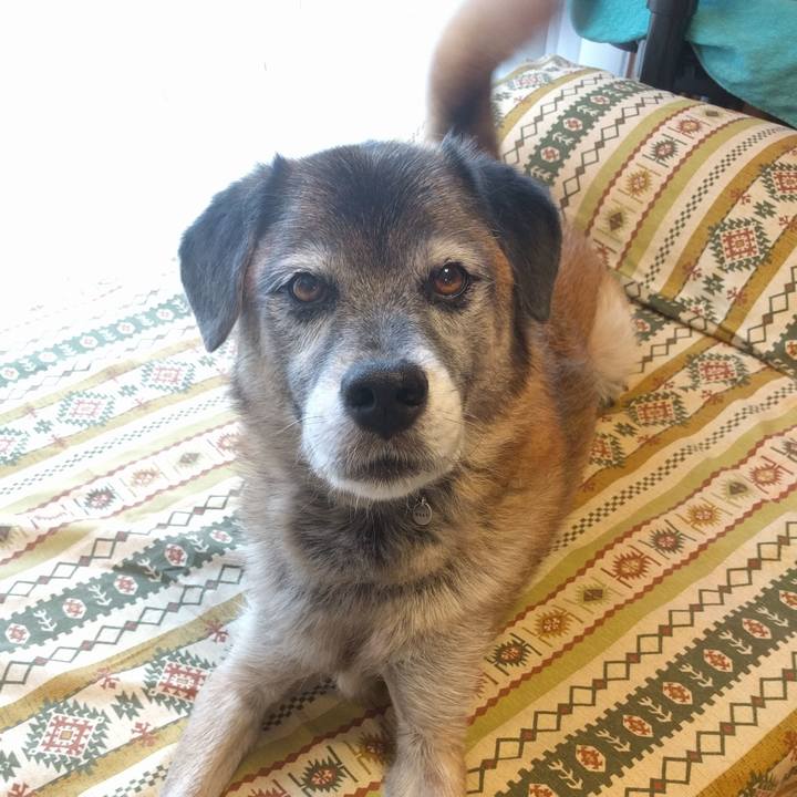 7ee8423b a160 4690 b488 67df93f1333b 1639096803861