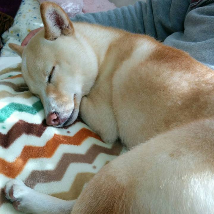 7ee84931 b88e 4e30 9838 01f6c8a00579 1511664944491