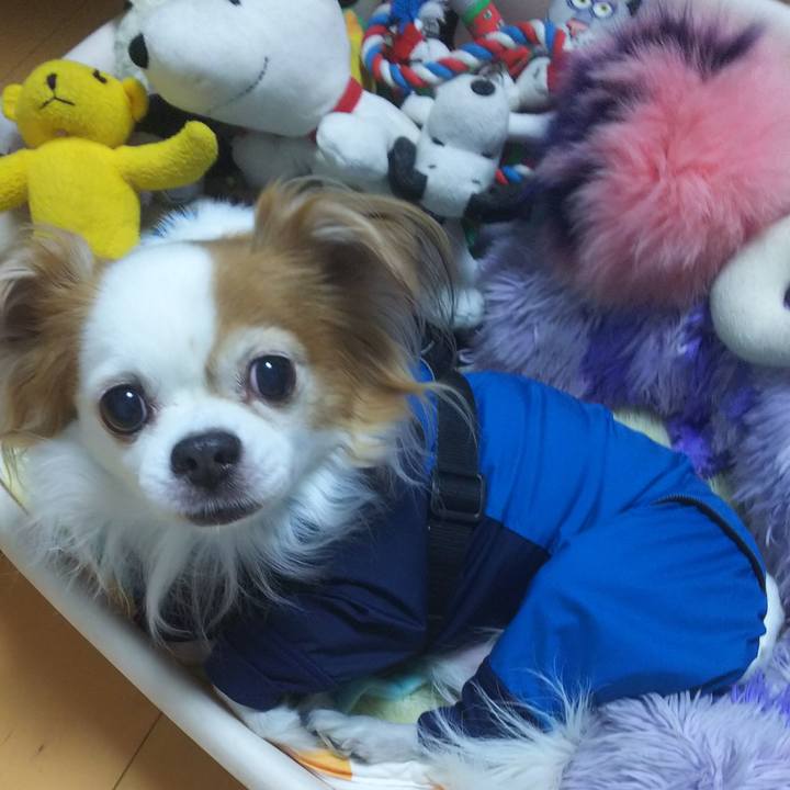 7ee85542 8f01 4446 8a2a 030e79c5077a 1548059096700