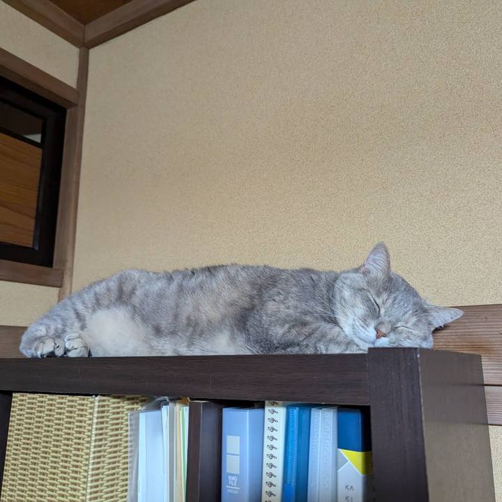 7ee85c40 23dd 4839 880e 92cadc012c3b 1721645722583