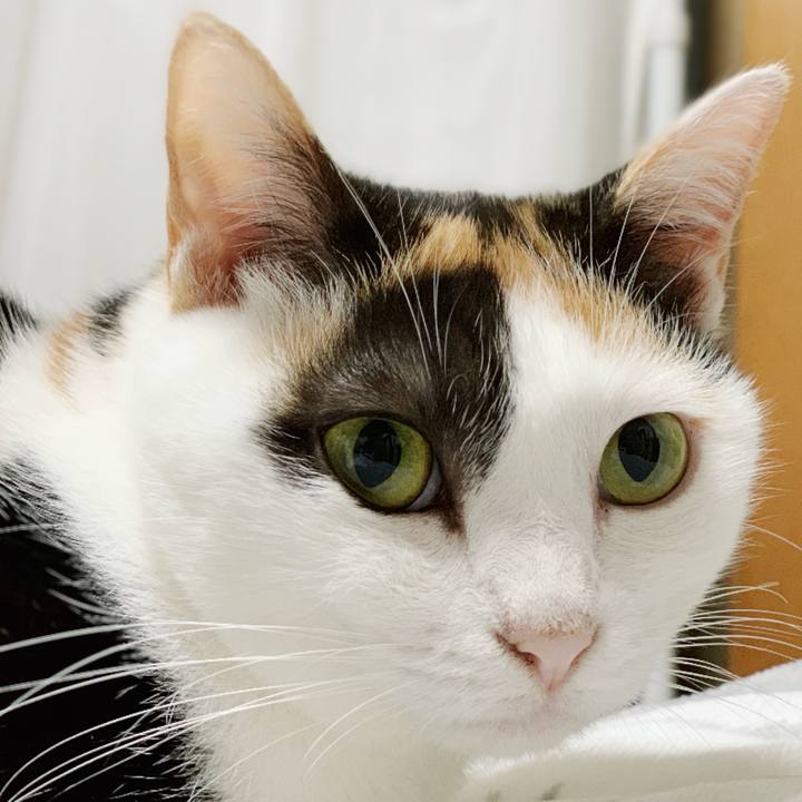 7ee89784 568c 4359 9945 d070c386425d 1543022576375