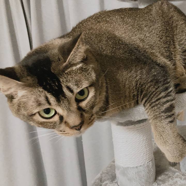 7ee8adba 5f1f 4755 87da 2e7f75af43cb 1640089391919