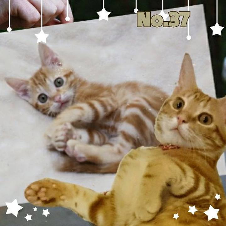 7ee91876 4721 4de2 9c54 1357bb6749d8 1529756876943