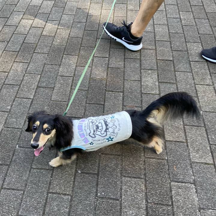 7ee92726 0efe 49c5 bc0d 1d40d6742f83 1721522613775