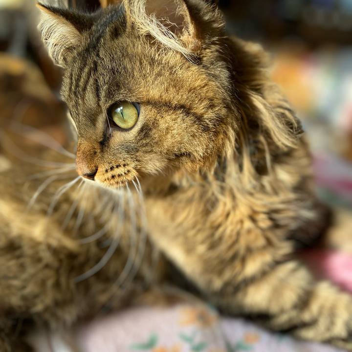 7ee93211 6442 4f11 a804 3d3e72424538 1667954196187