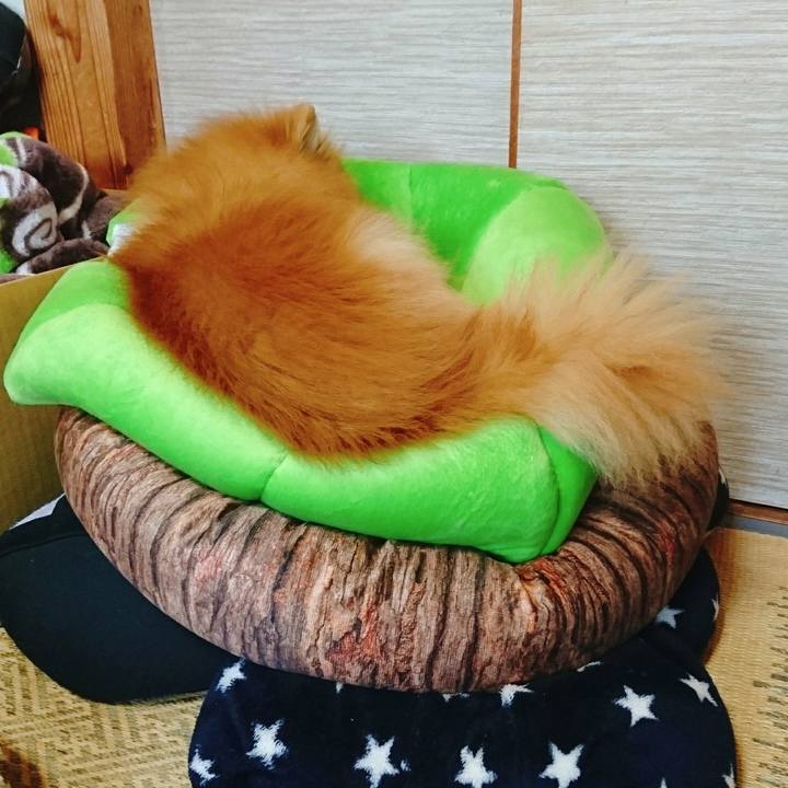 7ee9578f 78a8 4ea4 a349 03b60d0e40b2 1555762609110