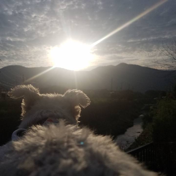 7ee95d39 48bf 42f1 b7d6 1fd566a12965 1599607519114