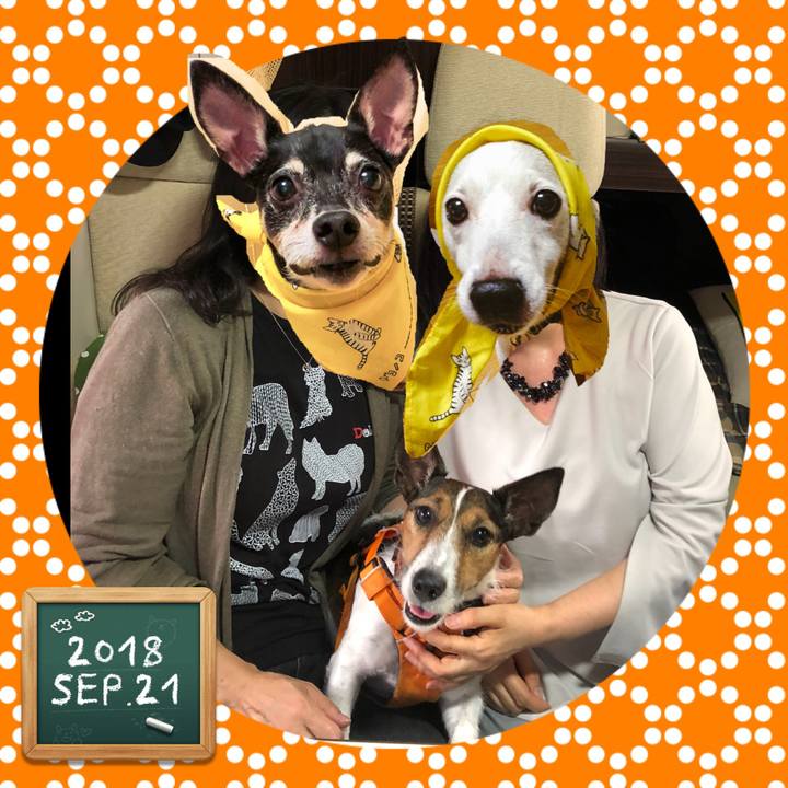 7ee97362 a32c 4b2f 92d0 5097e30fad96 1537656592264