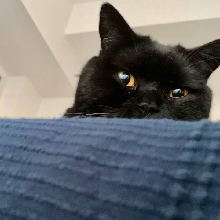 7ee975bc 8837 4a6c 97fd b3cddecc610e 1620033326950