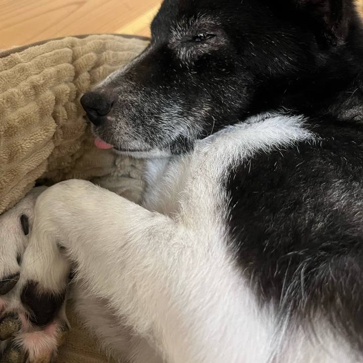 7ee97a86 53ed 4e2f a8e5 221ab66ae165 1718718769580