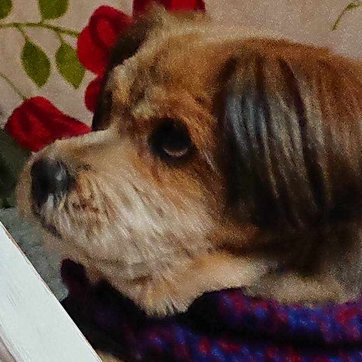 7ee981ea b088 44dc ace0 606d7b2e58ae 1549885198128