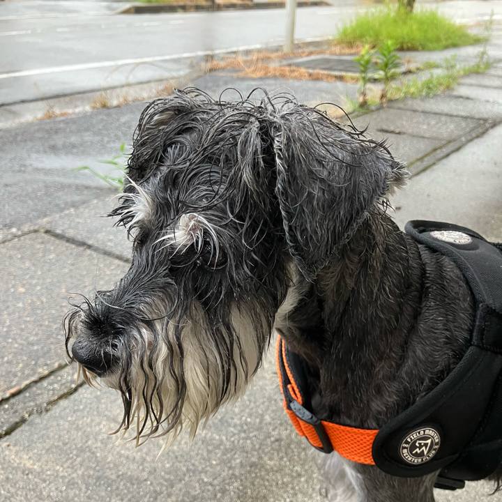 7ee9a379 9c88 418a 800f 972f80987df2 1723929497371