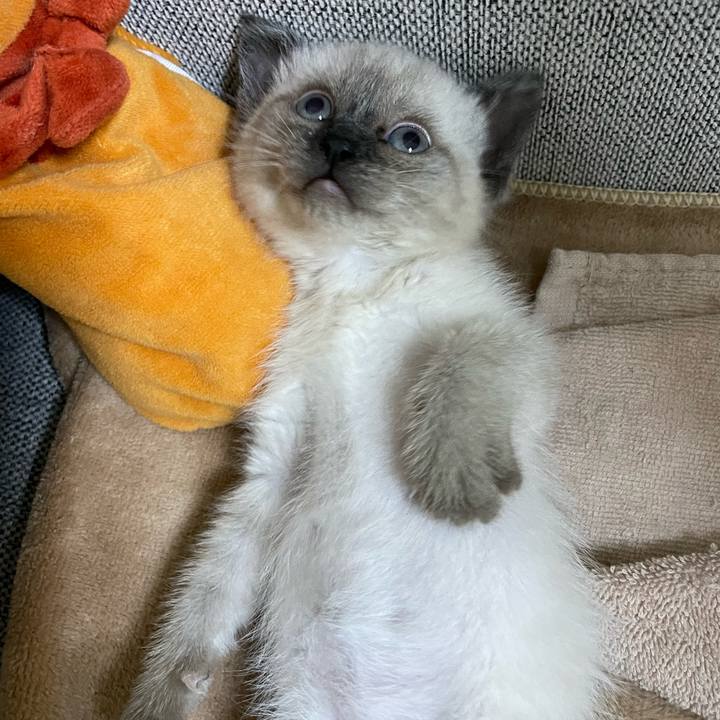 7ee9bf5a ec95 4450 8be8 d2cd7267b21d 1685826091698