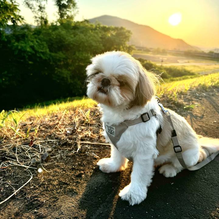 7ee9ff25 7be7 40e7 8094 388f4fe755c3 1718362361082