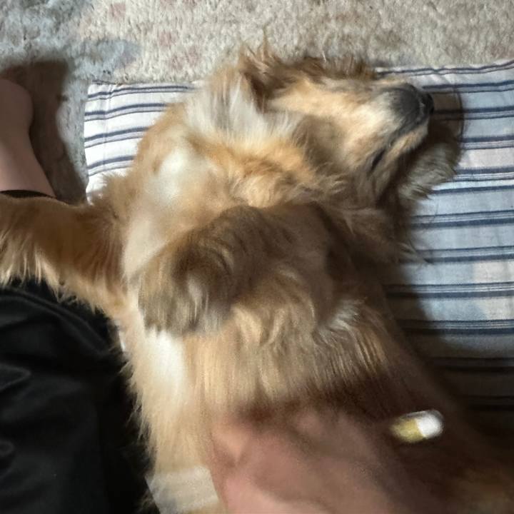 7eea1d34 af6d 4ad9 b1a0 a7bfe68a5e85 1705871544059