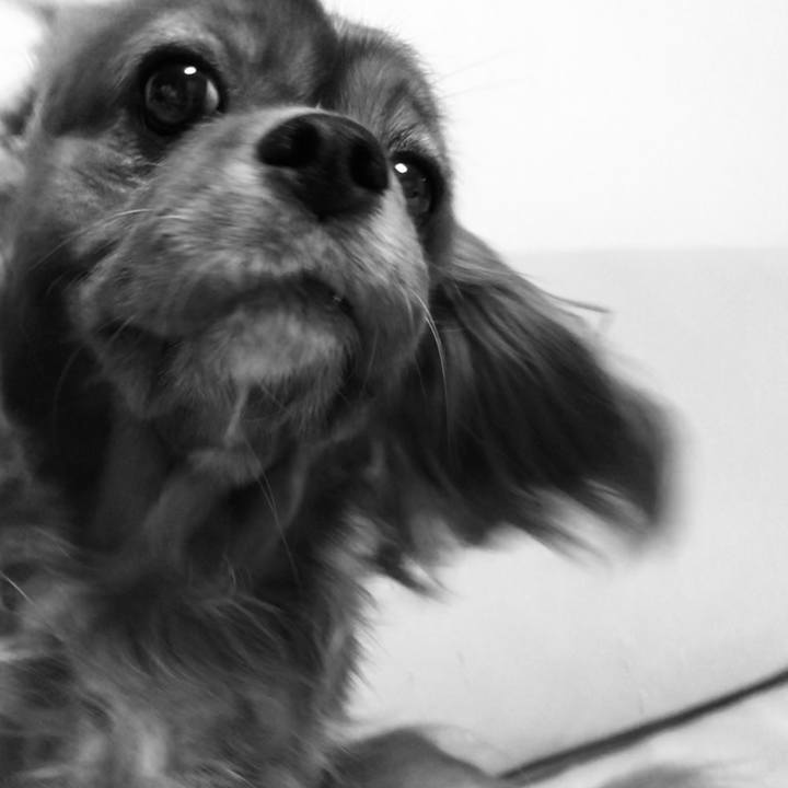 7eea3b95 108f 4a48 95ef 670e7362ac87 1601901236835