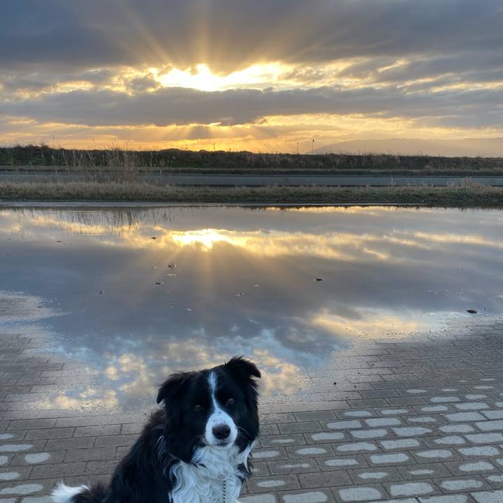 7eea443d 63c0 49b2 a99c 59806dfaae5a 1613432226380