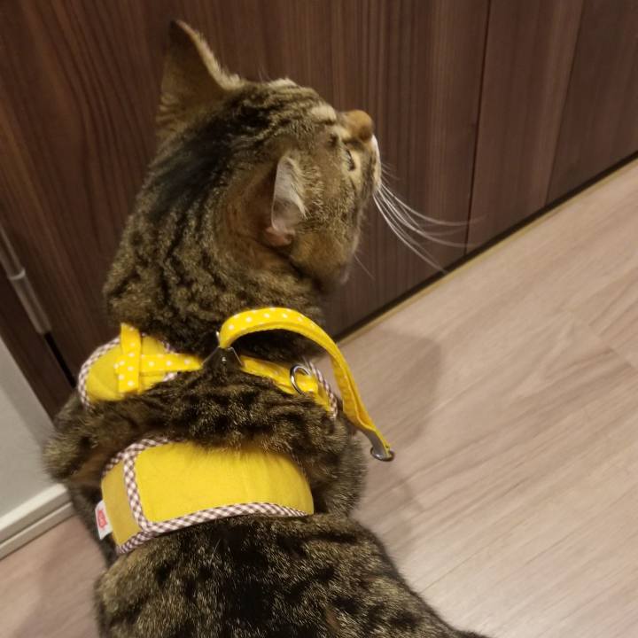 7eea8994 5451 4c39 86b7 c458e61d304e 1573948348939