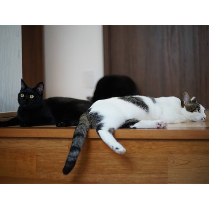 7eeaf123 541f 474f aa5c a53845fc454f 1528155007126