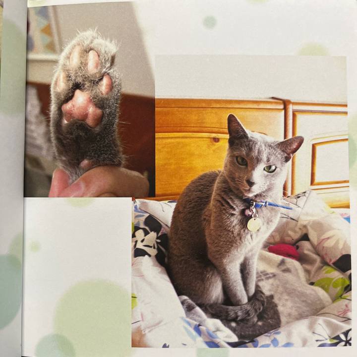 7eeb101a 31a9 4bb5 a8dc d2ecf8ee48ef 1730113681425