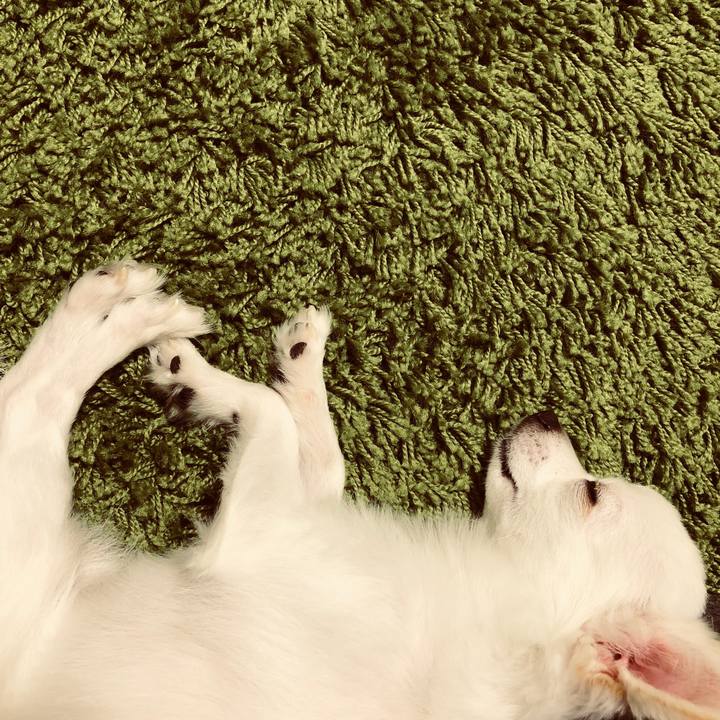 7eeb1e56 cf51 4217 a4ba cb301463805d 1540019466989