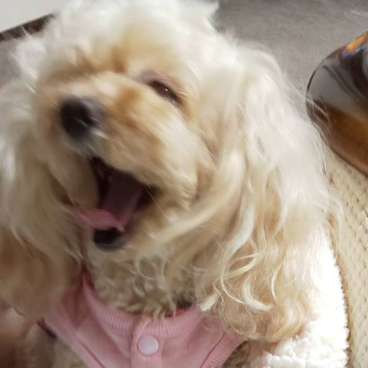 7eeb4b20 e458 49c0 a16e 439e1c961b07 1678751555066