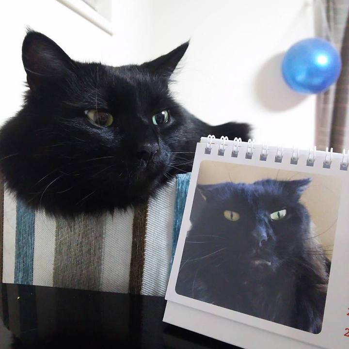 7eeb5fb4 56ad 4833 b4e6 19f713e50866 1525183047006