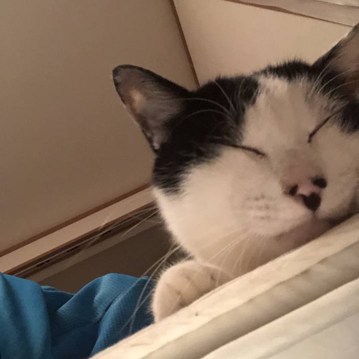 7eeb7a0e 5971 4e62 a665 b9abf9aeaee5 1573038687374