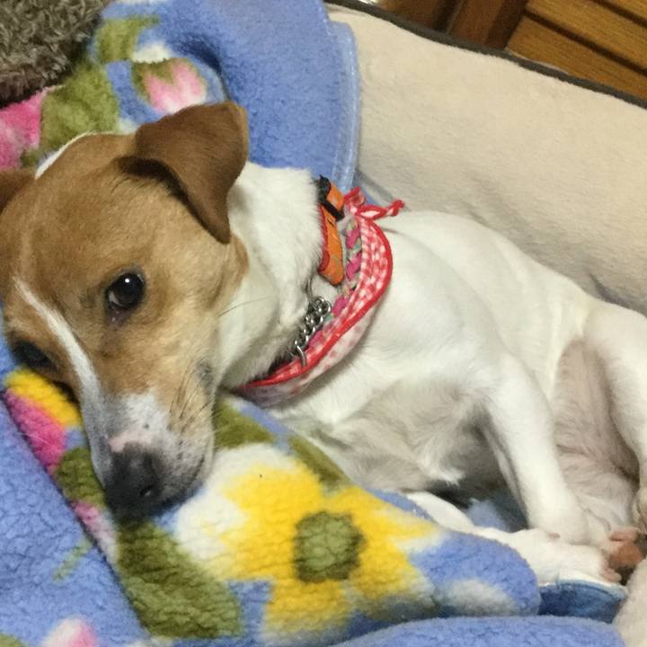 7eebb696 478d 40d8 a40b e7950223e316 1520161449049