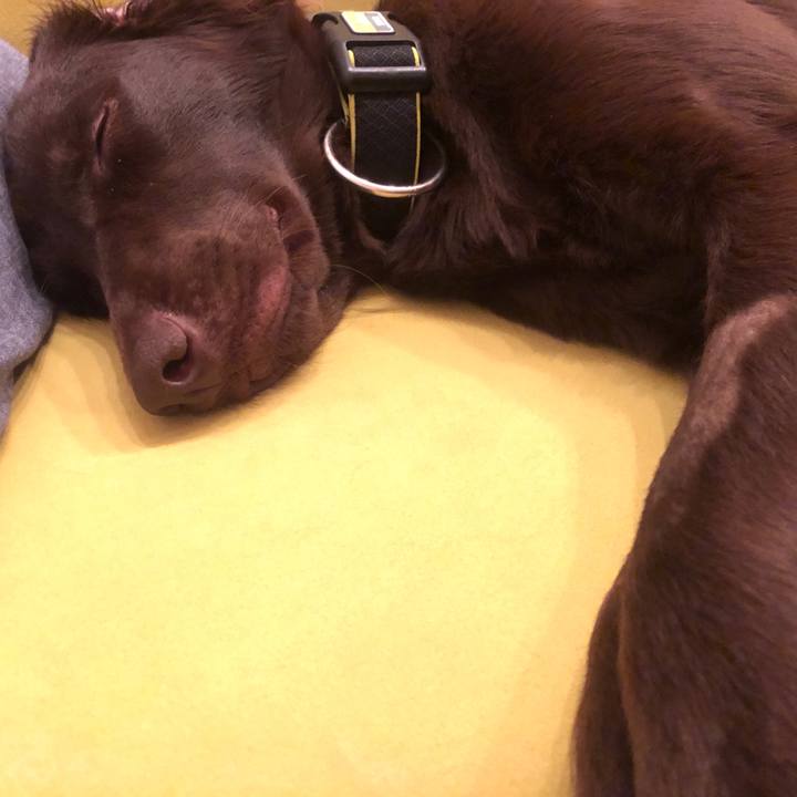 7eebf594 df5a 41ef bbd7 a672cc5f0dc4 1581696130458