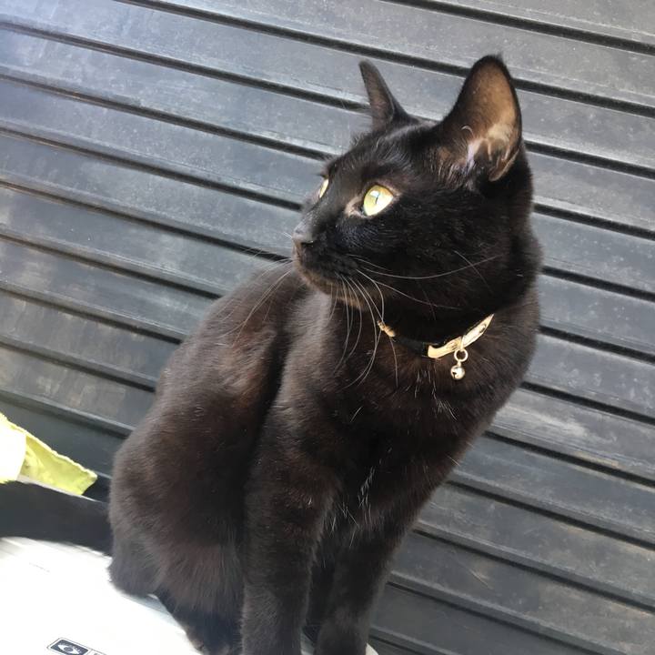 7eebf870 f33a 4296 a97a 11122107e1bc 1526968070296