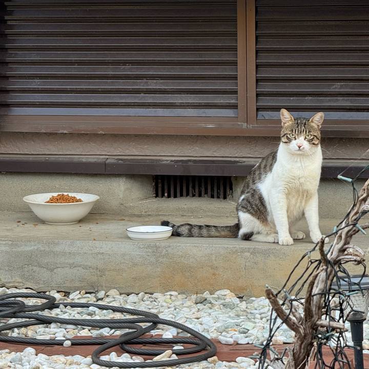 7eec82d8 663c 4408 99c9 2a03212152c1 1754269065791