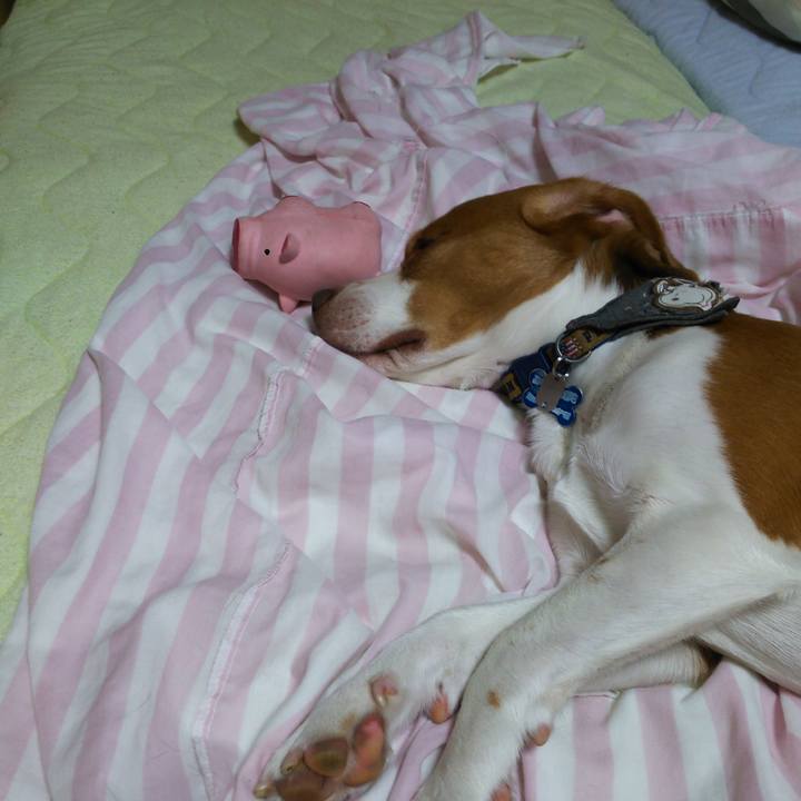 7eec9531 1066 47b7 9f4a b4ed378add88 1570891988844