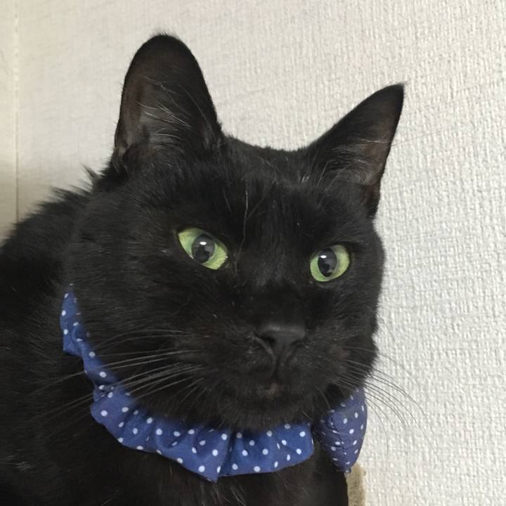 7eec9de8 75e6 4723 8815 76b49027437b 1552479051402