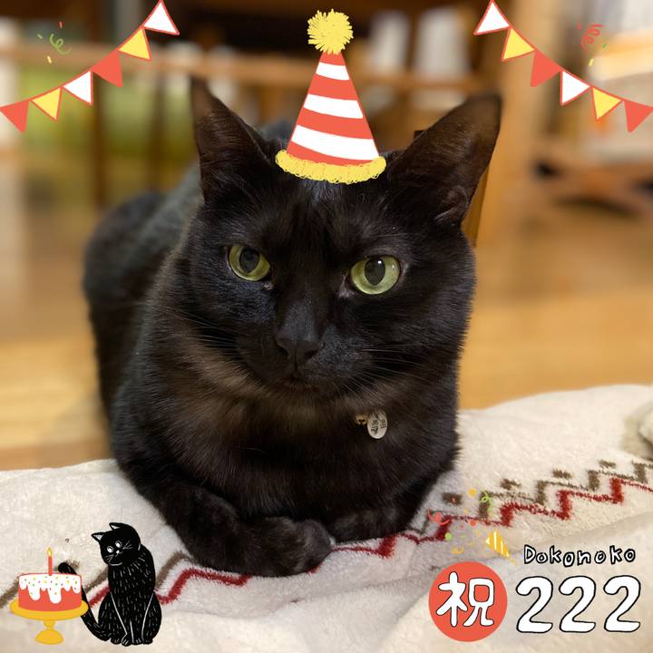 7eecda65 ad47 4d6f 907c d8db7d290ad6 1645541074058