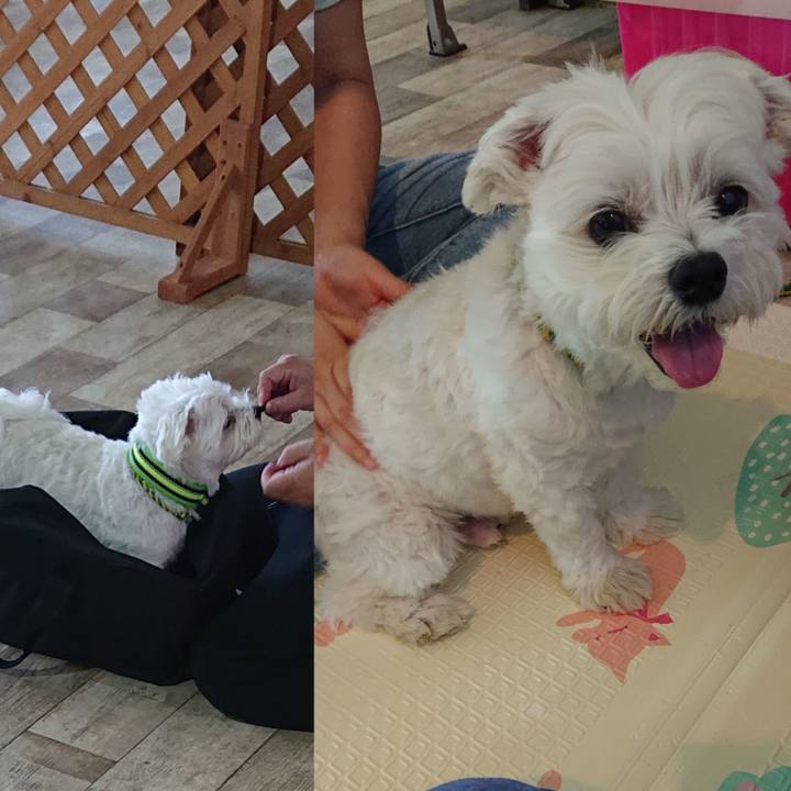 7eed0969 dd83 4984 8b98 909cac63cb95 1598683750223