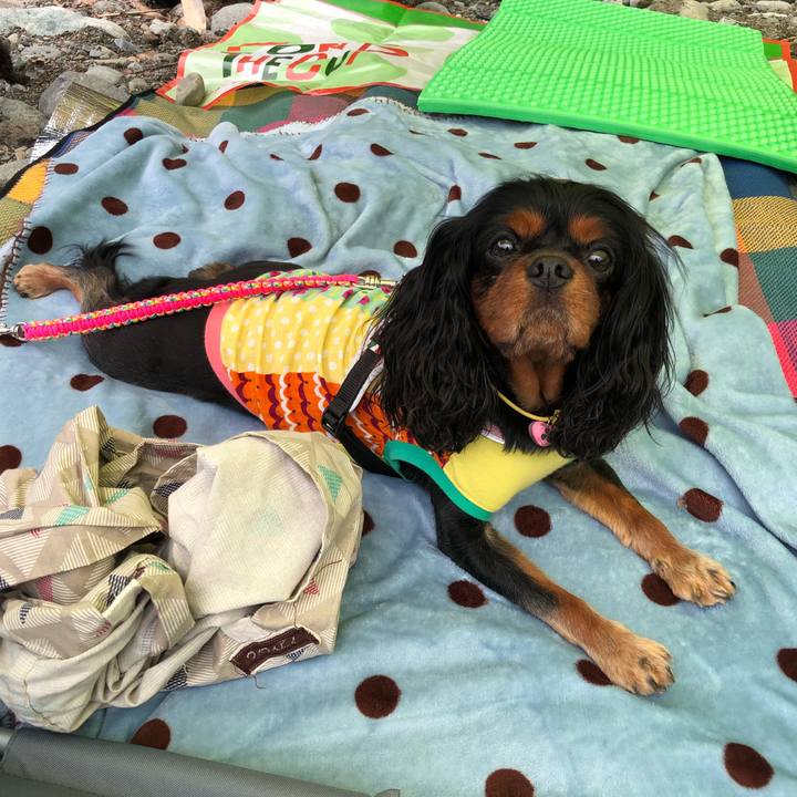 7eed1094 a3a9 445d a80f b4c9bc15a2b1 1534776540416