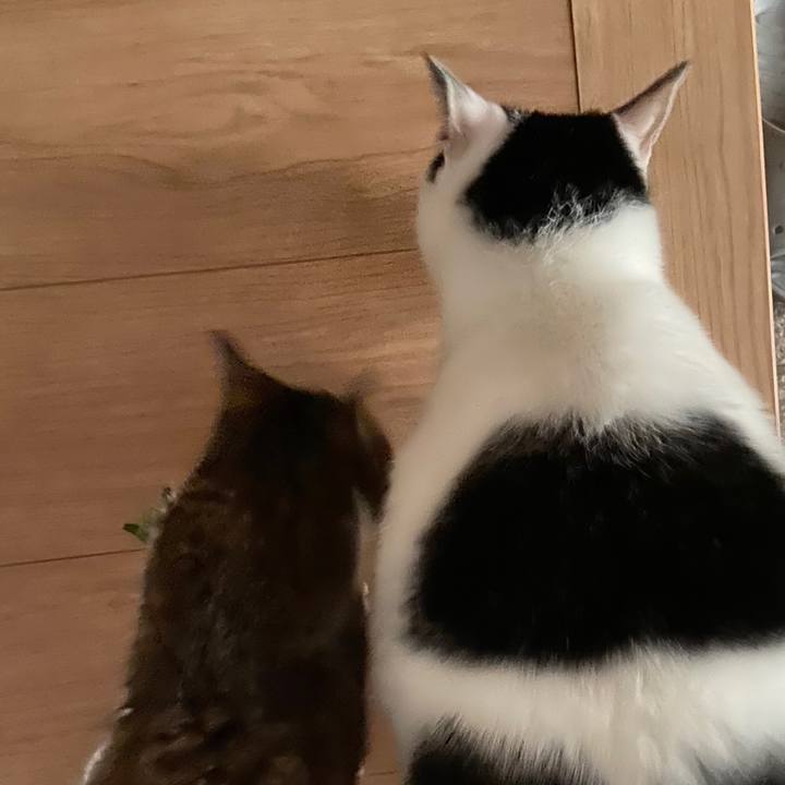 7eed1c21 2ae1 41df 8ba9 1f5677ee5957 1596113456440